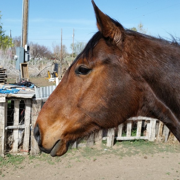 Meet your Posher, Robert - Picture 2 of 4